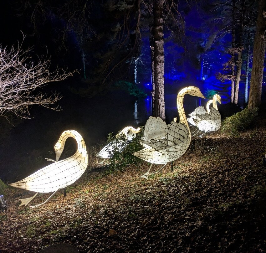 Leonardslee Illuminated-Lower Beeding必去景点