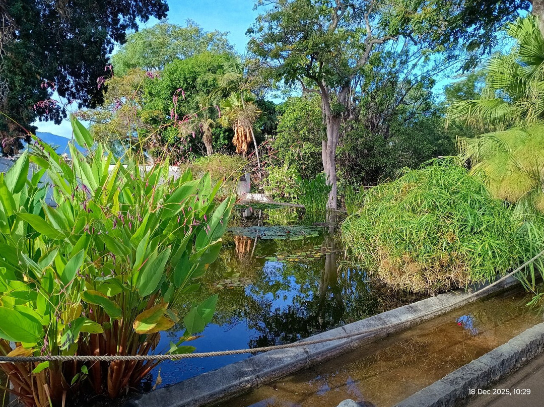 Botanischer Garten-德拉克鲁兹索尔港必去景点
