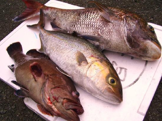 Business Minshuku Charm主图