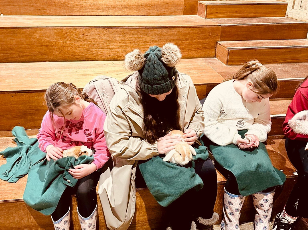 Pennywell Farm-Buckfastleigh必去景点