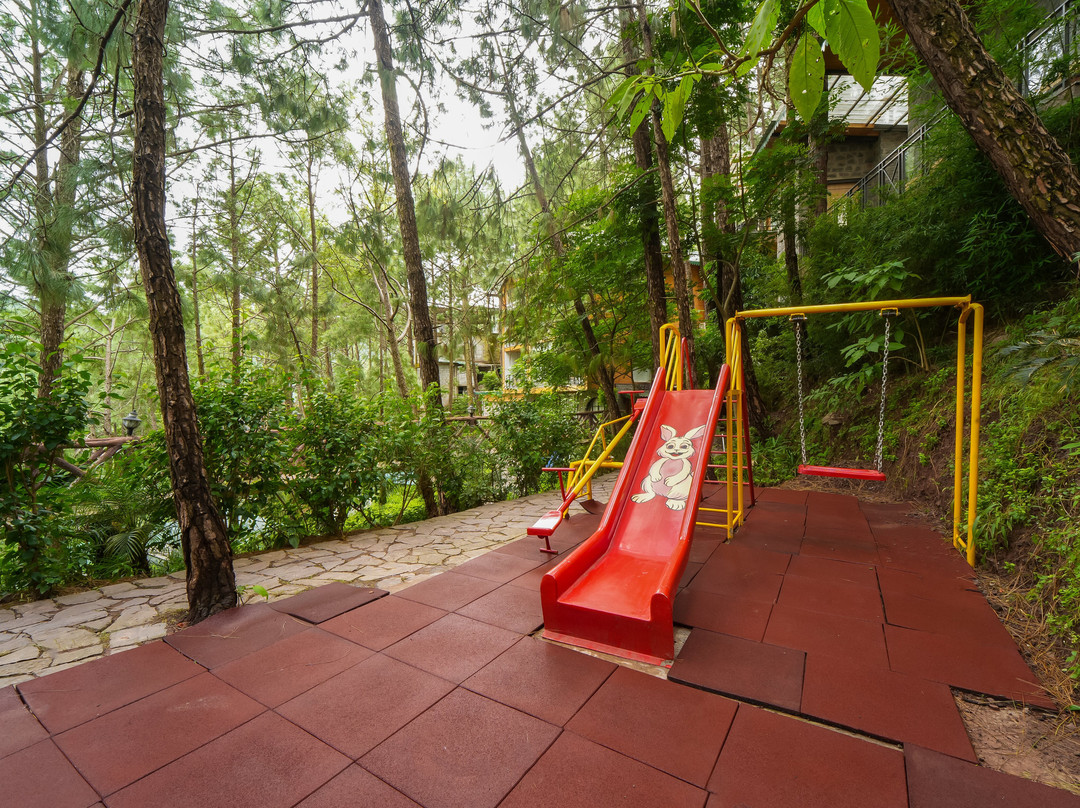 Kasauli Hills Resort主图