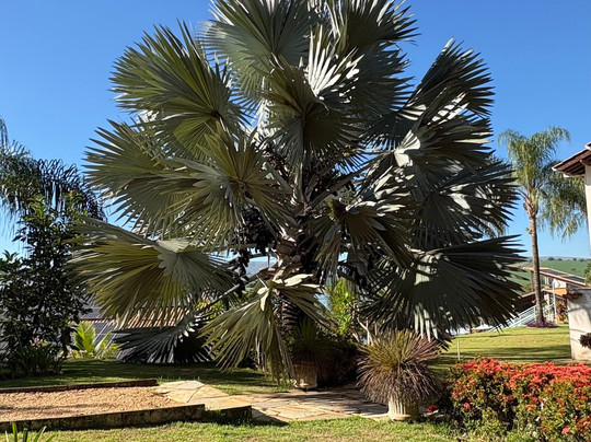 BellaMinas Pousada主图