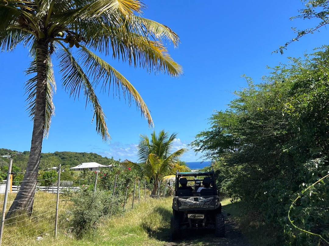 Trial Caraibe-Trois-Ilets必去景点