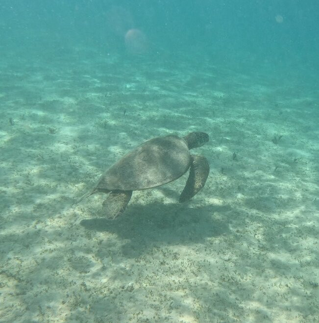 Guam Private Boat Trips-Merizo必去景点