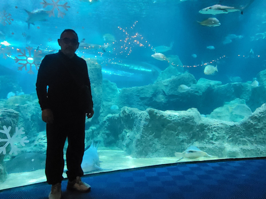 Acuario Michin Guadalajara-瓜达拉哈拉必去景点