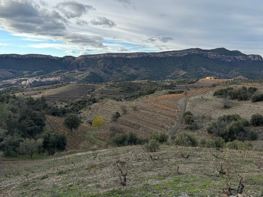 Celler Devinssi-Gratallops必去景点