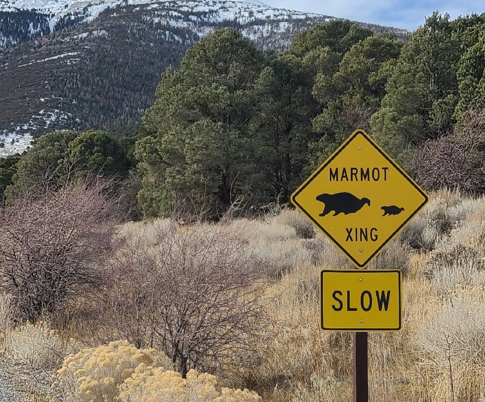 Great Basin National Park-Baker必去景点