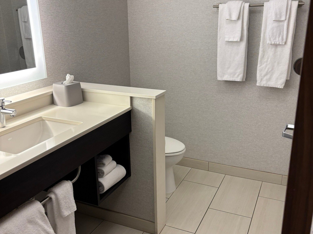 Holiday Inn Express & Suites St. Louis South - I-55 By IHG主图