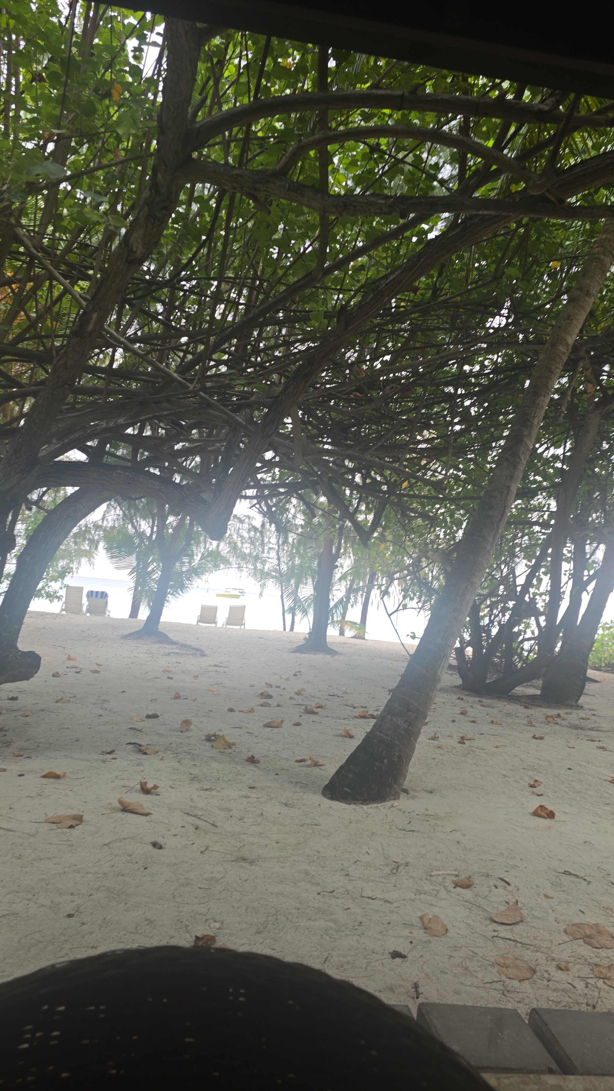 夏日岛乡村酒店-官方