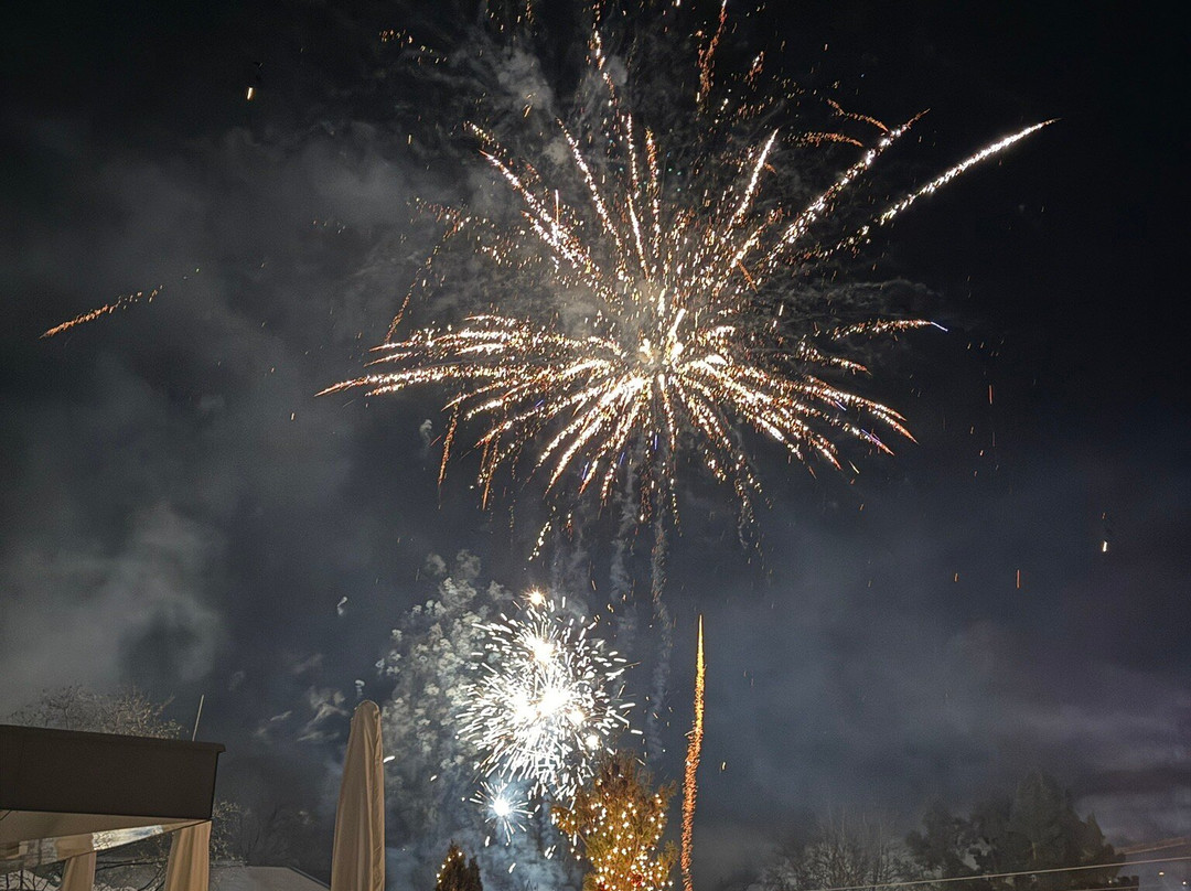 Aktivhotel Schweizerhof - Kitzbühel主图