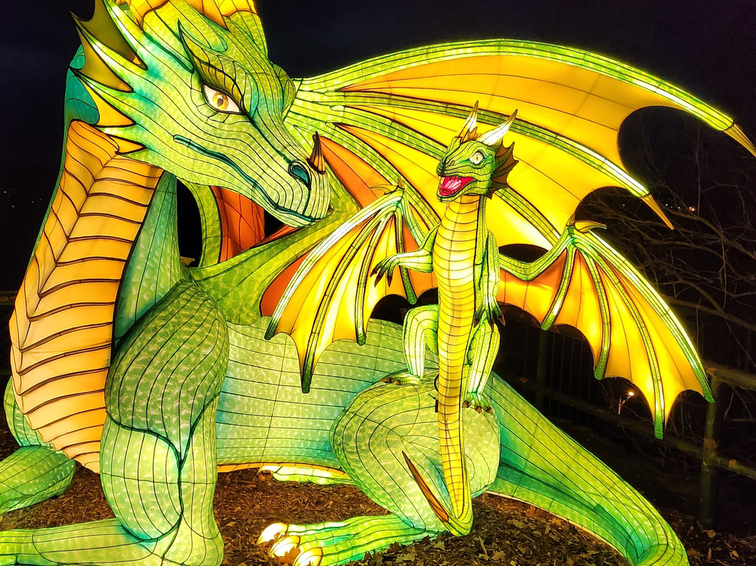 Zoo Halle (Mountain Zoo)-哈雷必去景点