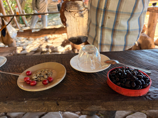 Horseback Riding Tours-特立尼达必去景点
