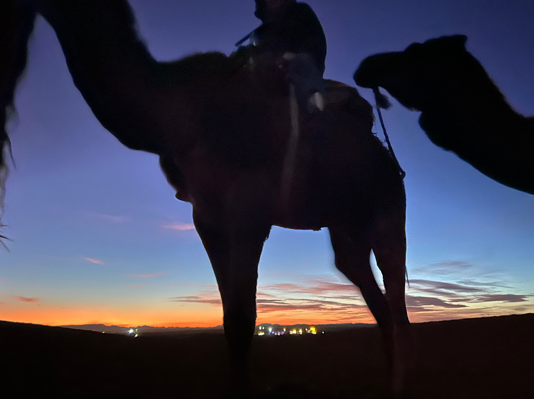 Check Inn Morocco-马拉喀什必去景点