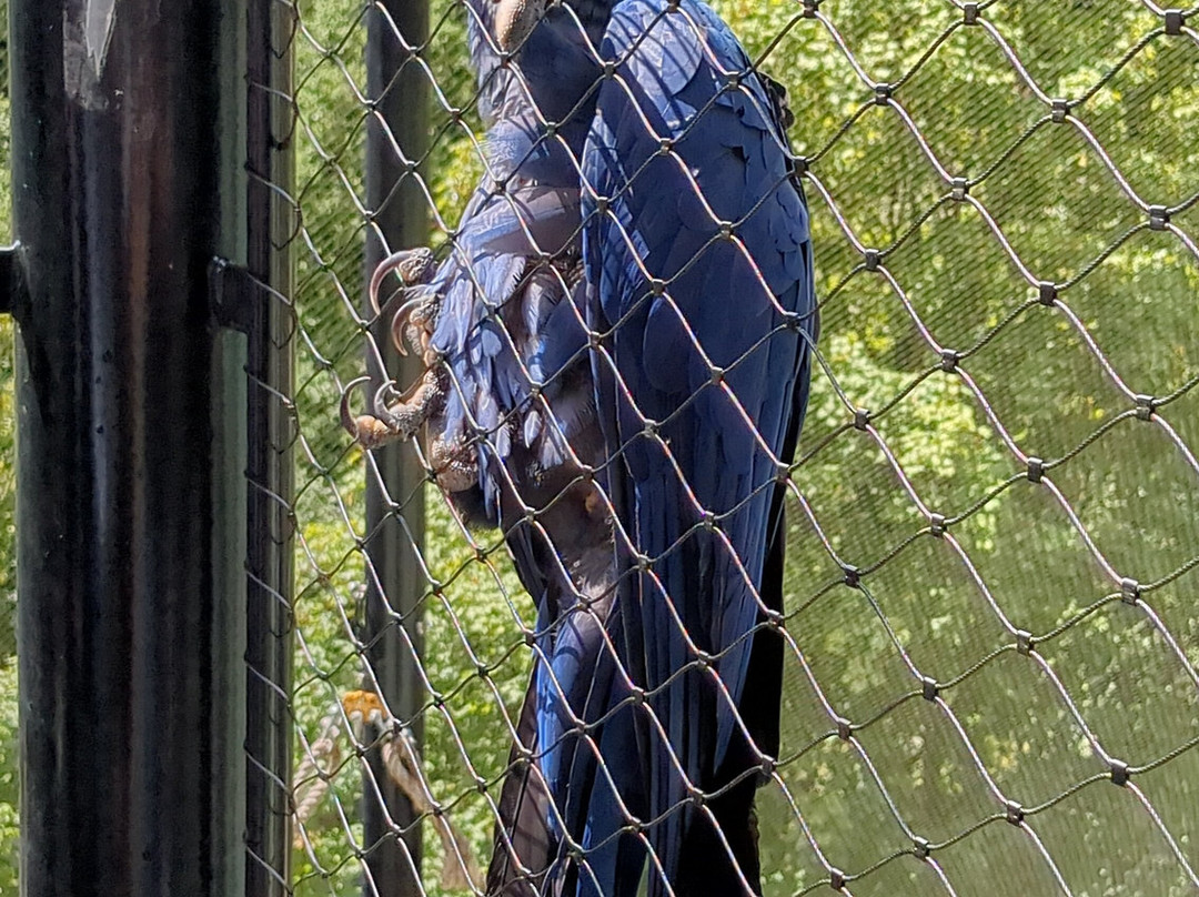 Les Terres De Nataé-Pont-Scorff必去景点