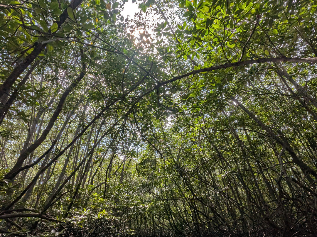 Balitabiyotour-乌布必去景点