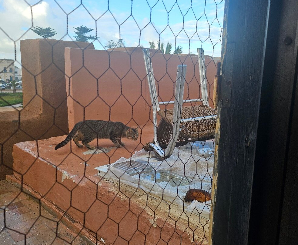 马达达莫加多酒店主图