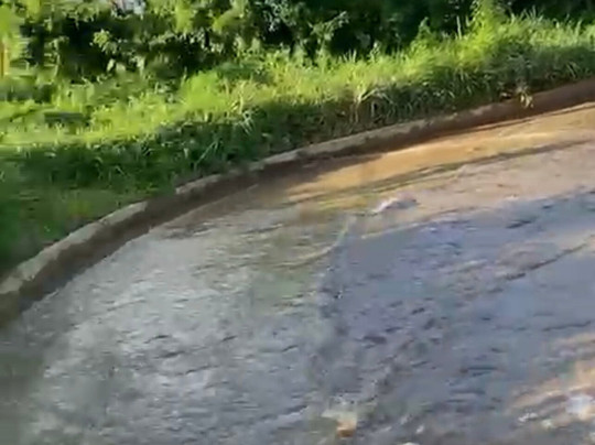 Bali Pertiwi Adventure-乌布必去景点