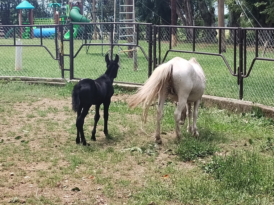 Hotel Fazenda Sete Lagos主图