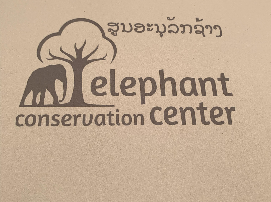 Elephant Conservation Center-Sayaboury必去景点