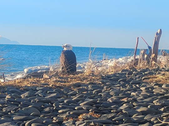 Land's End Resort主图