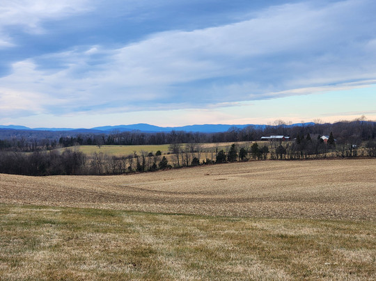 Round Hill Inn主图