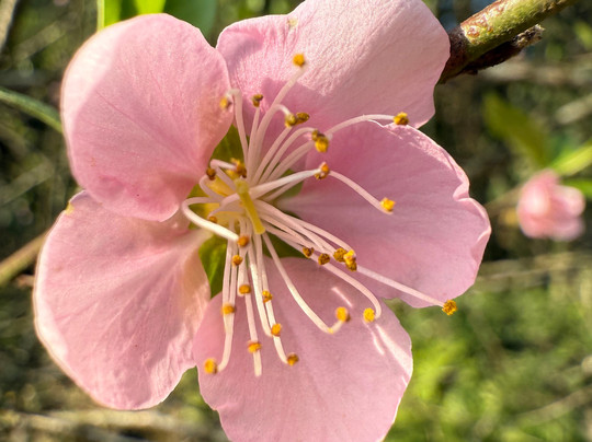 ATT Asia Travel-河内必去景点