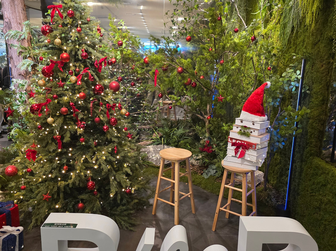 B The B-首尔必去景点