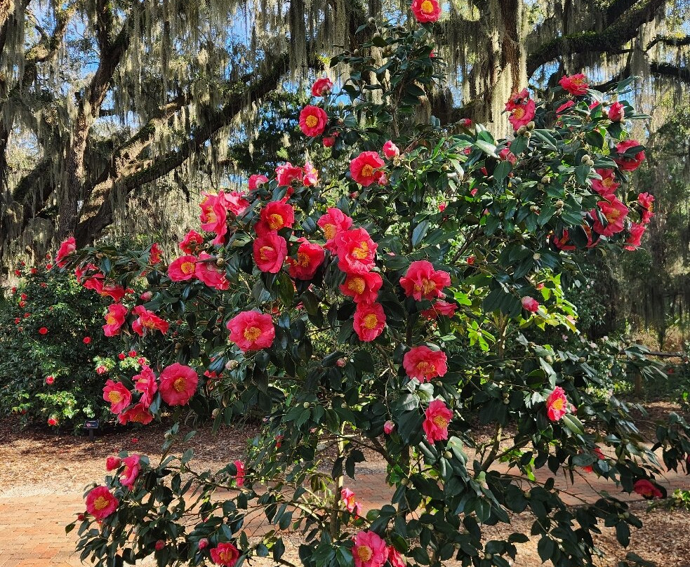 Coastal Discovery Museum-希尔顿头岛必去景点