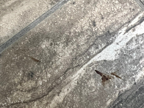 汉普顿旅店 旧金山机场宾馆主图