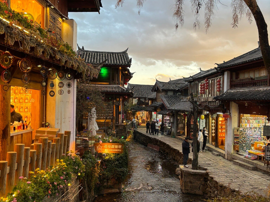 My Panda Tours-成都必去景点