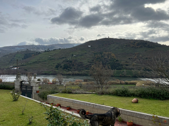 Portoalities-波尔图必去景点