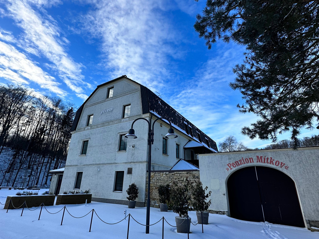 Penzion Mitkov主图