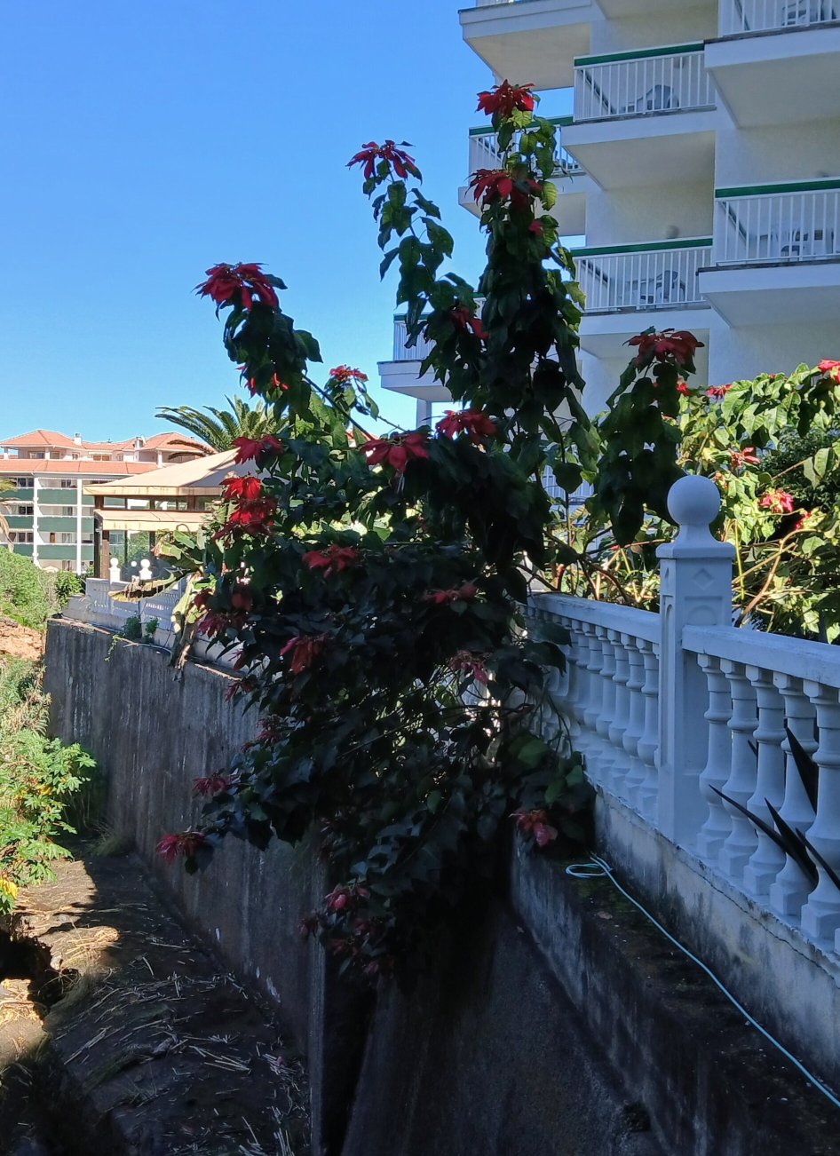 Parque Vacacional Eden-浴室