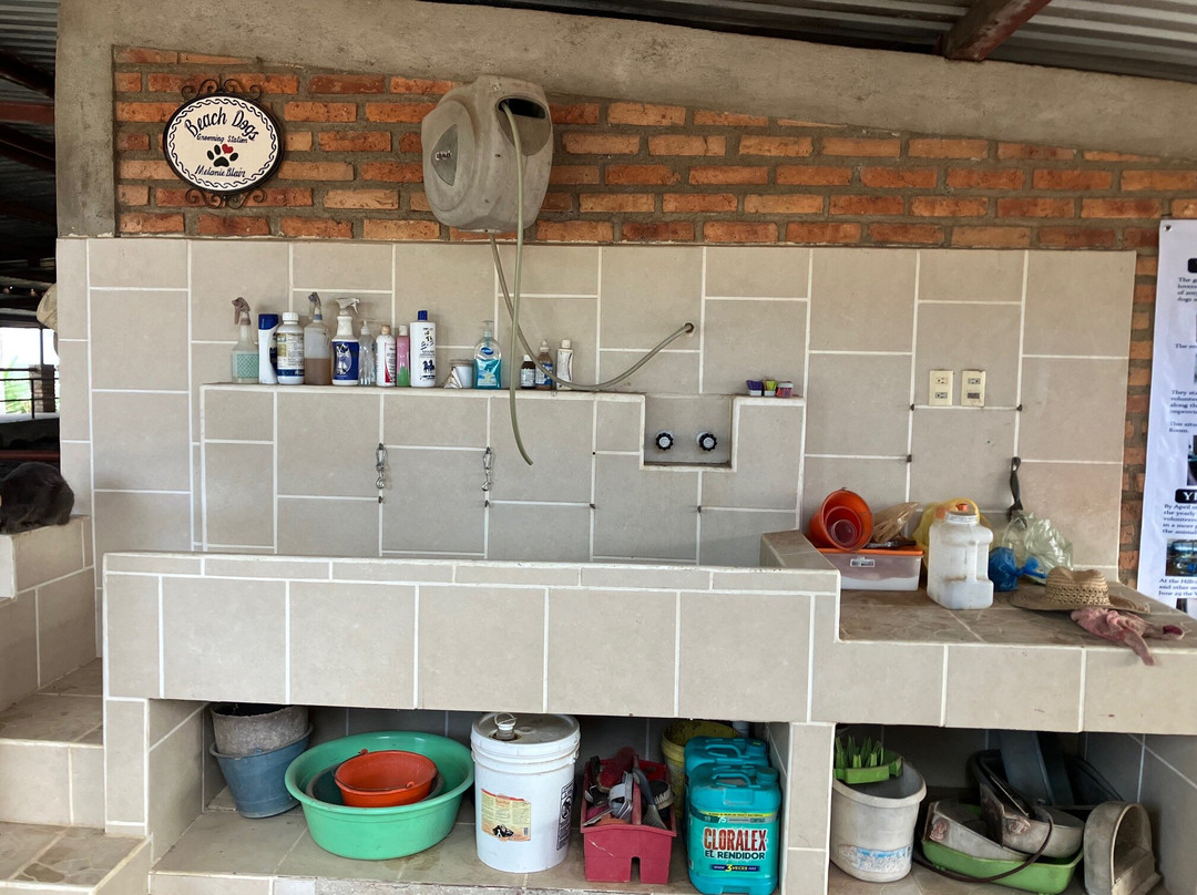 Jaltemba Equine Education Project (J.E.E.P.)-La Peñita de Jaltemba必去景点