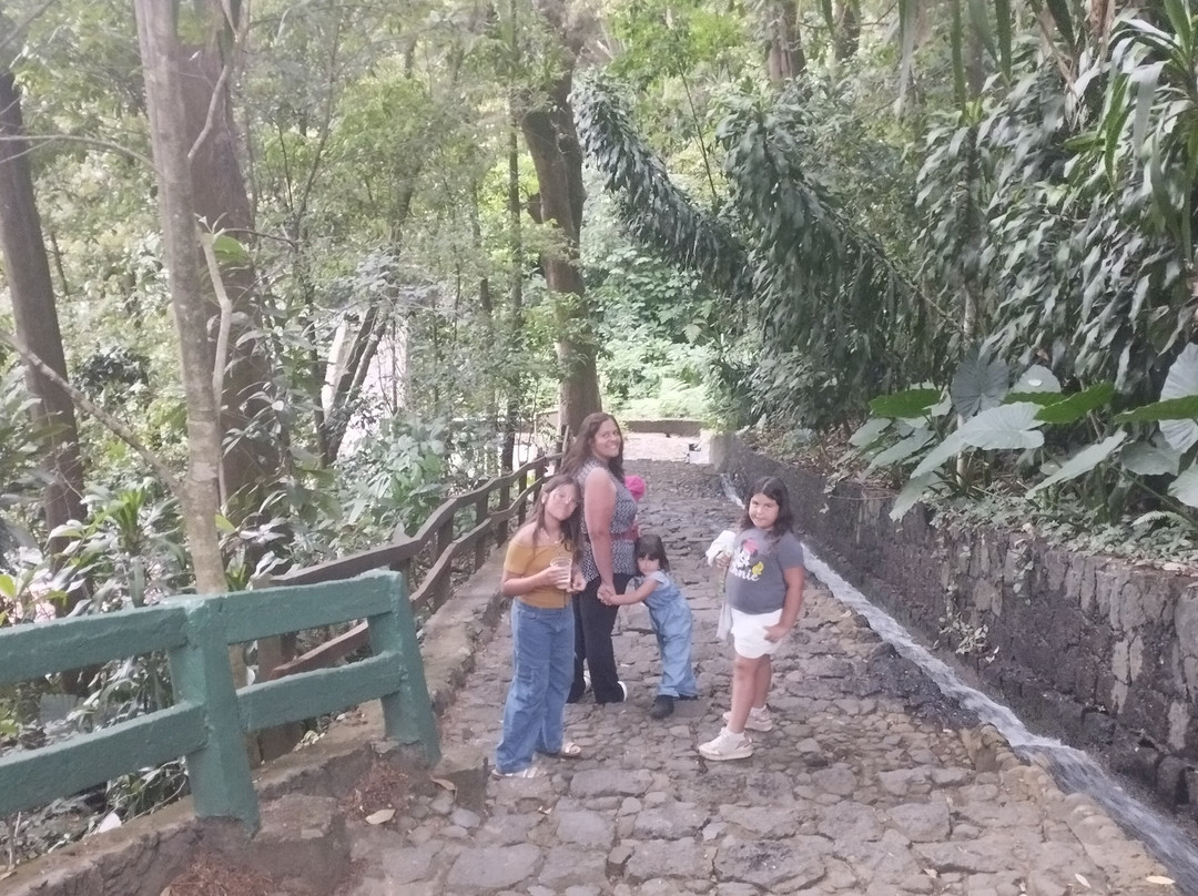 Parque Nacional Barranca del Cupatitzio-Uruapan必去景点