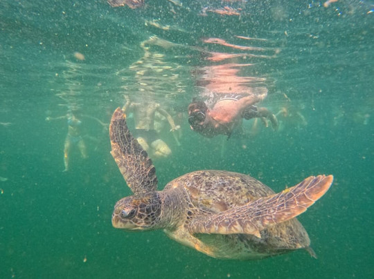 Sangthong Tours-涛岛必去景点