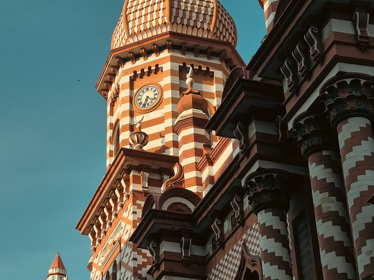 My Driver Sri Lanka-卡图纳耶克必去景点