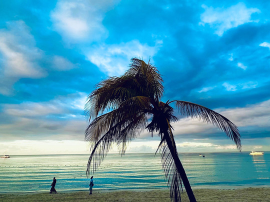 Island Turf Tours-内格里尔必去景点