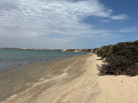 Spirit of the Coorong Cruises-Goolwa必去景点
