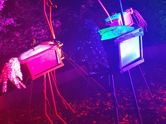 Maximilianpark-Hamm必去景点