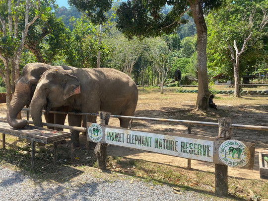 Phuket Elephant Nature Reserve-他朗必去景点