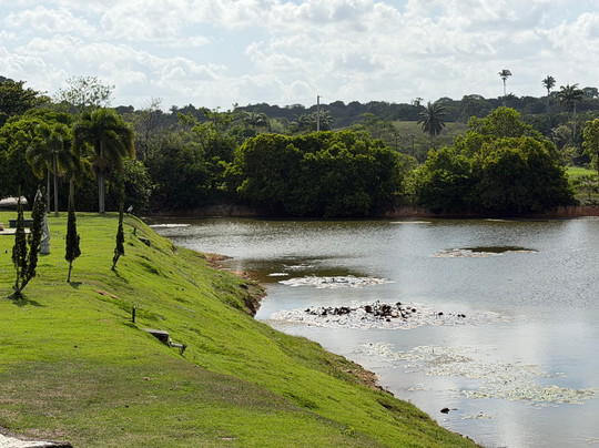 里卡多‧布伦南德研究所-累西腓必去景点