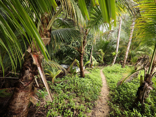 Al Natural Resort主图