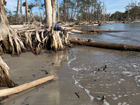 St. Phillips Island Ferry-Saint Helena Island必去景点
