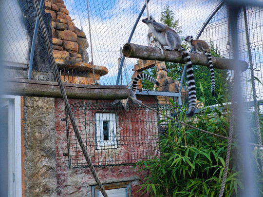 Mini ZOO Land-Slovenske Konjice必去景点