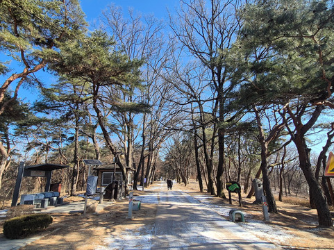 Tangeumdae Park-忠州市必去景点