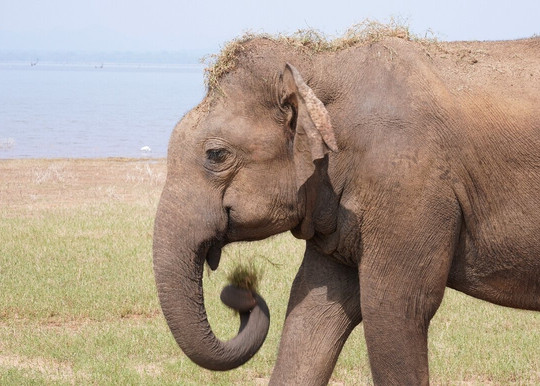 Pradeep Tours-瓦勒迦玛必去景点