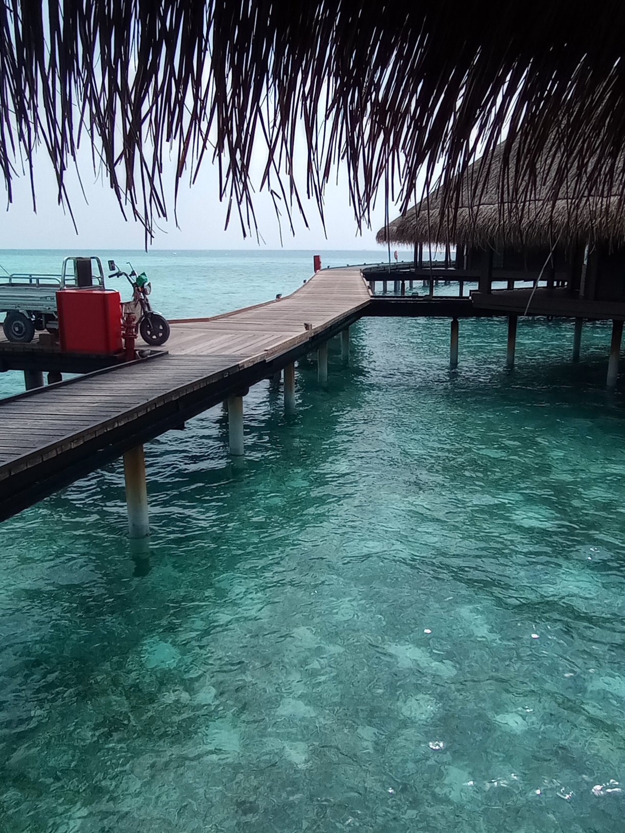 阿达兰瑞娜丽度假村-官方