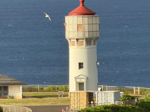 津劳也亚自然生物保护区-基拉韦厄必去景点