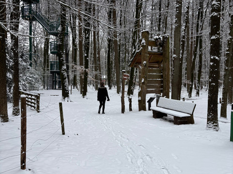 Fletcher Wellness-Hotel De Hunzebergen主图